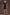 Aura Ruched Ruffle Sleeve Mini Dress